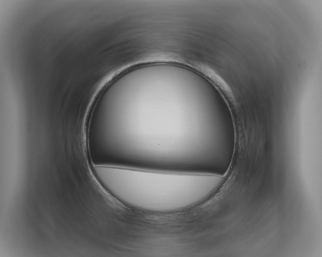 X0000112491380200908170942
