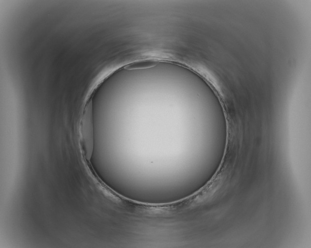 X0000112491381200908170942