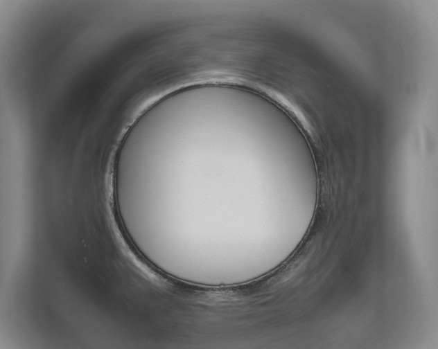 X0000112491383200908170942