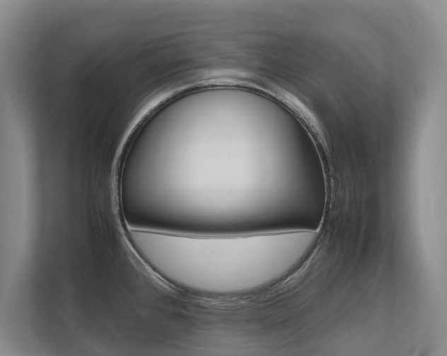 X0000112491384200908170942