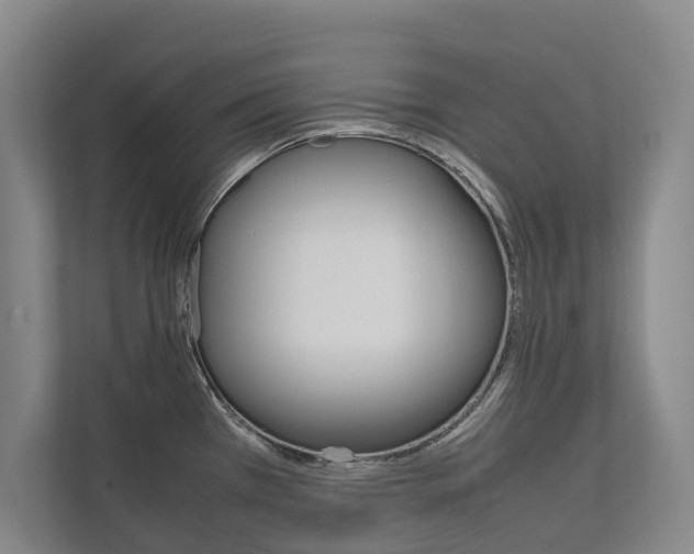 X0000112491385200908170942