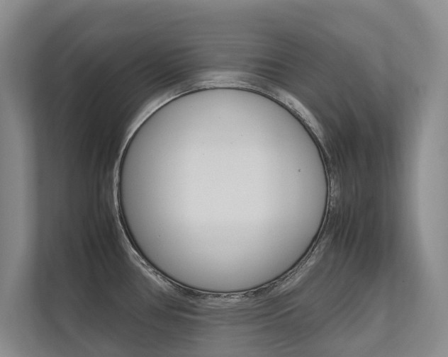 X0000112491386200908170942