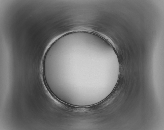 X0000112491387200908170942