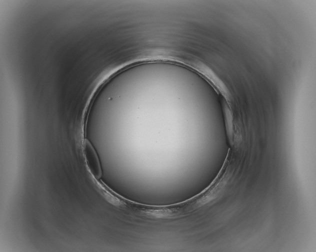 X0000112491388200908170942