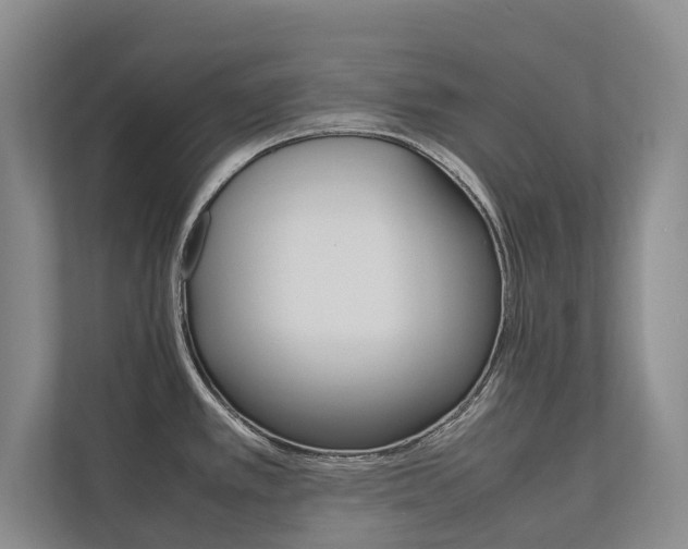 X0000112491389200908170942