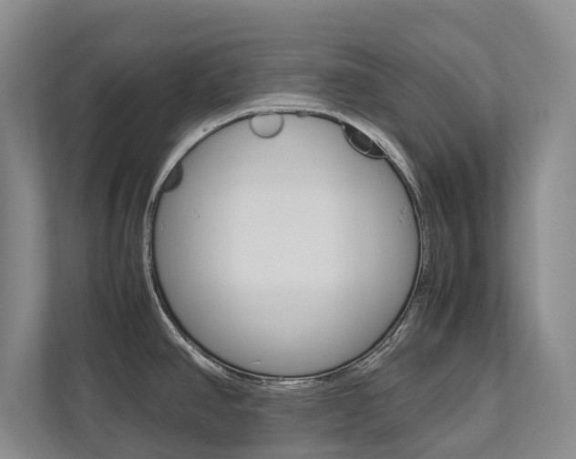 X0000112491390200908170942