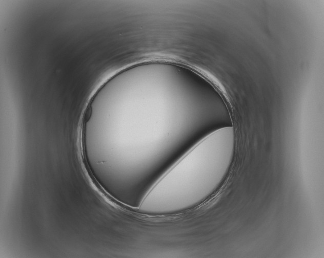 X0000112491391200908170942