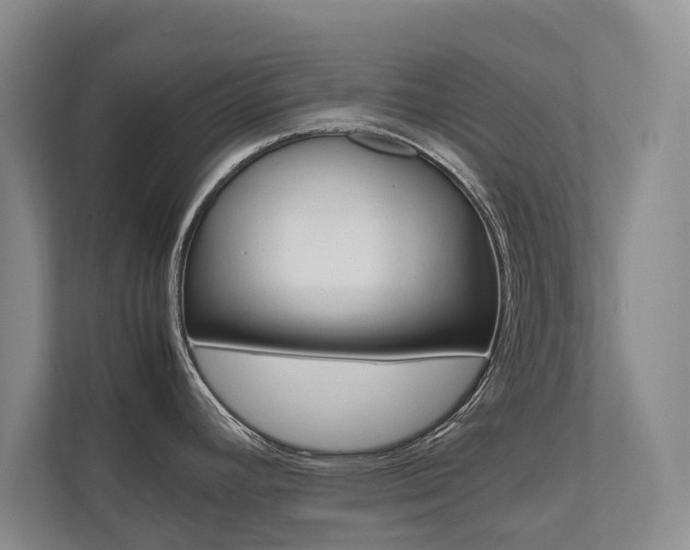 X0000112491392200908170942