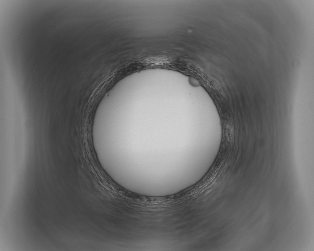 X0000112491393200908170942