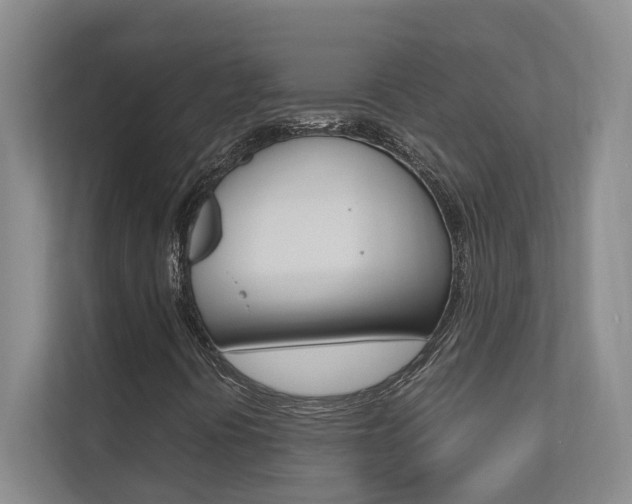 X0000112491394200908170942