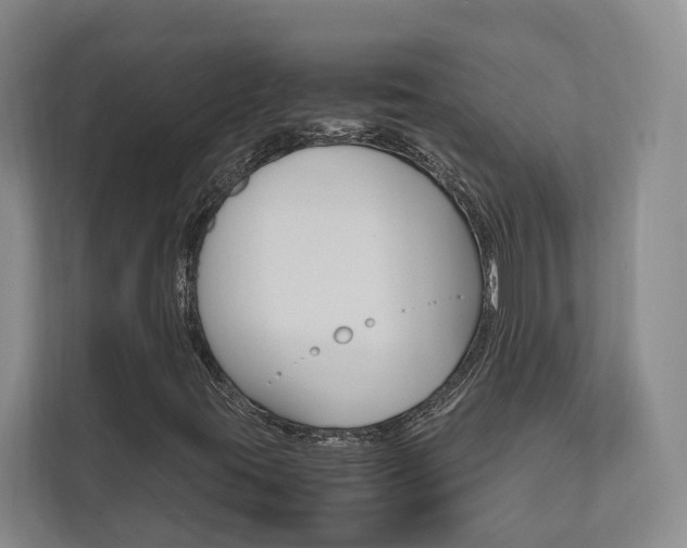 X0000112491395200908170942