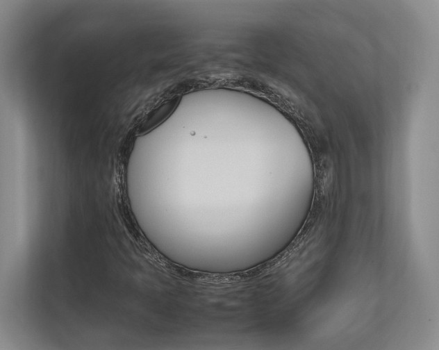 X0000112491397200908170942