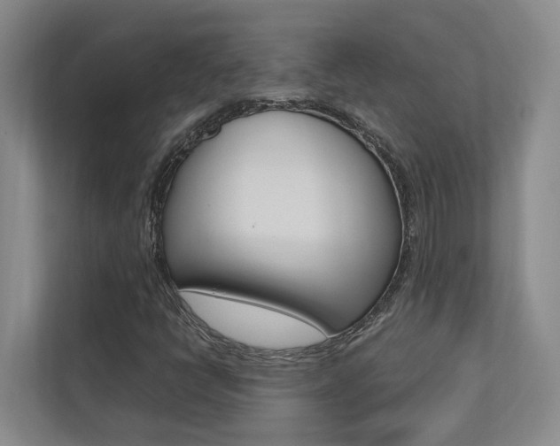 X0000112491398200908170942