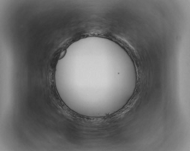X0000112491399200908170942