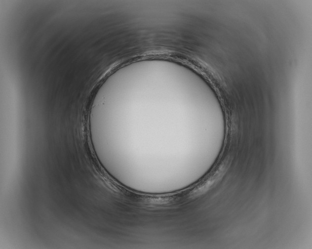 X0000112491401200908170942