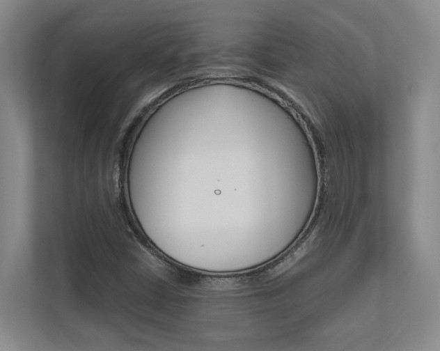 X0000112491402200908170942