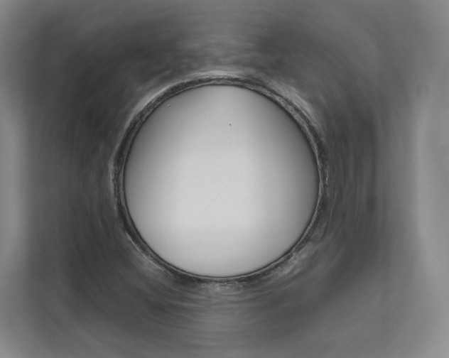 X0000112491404200908170942