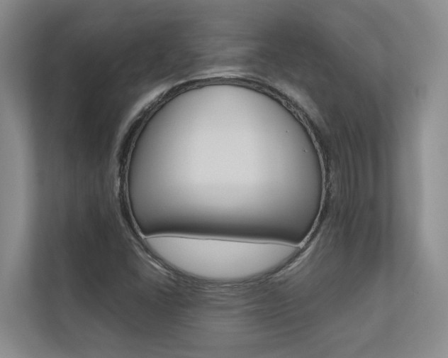 X0000112491406200908170942