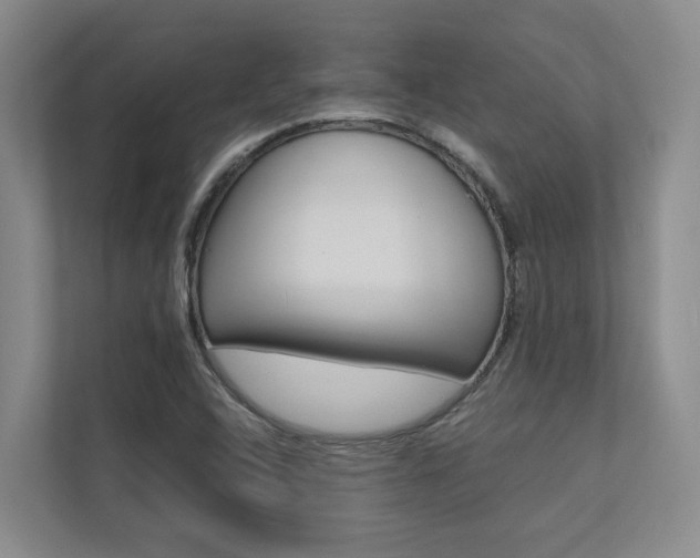 X0000112491408200908170942