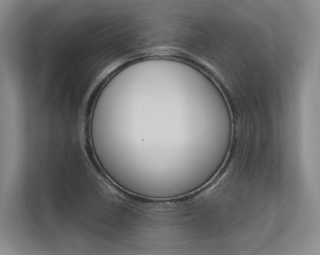 X0000112491410200908170942