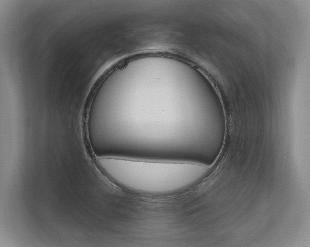 X0000112491412200908170942