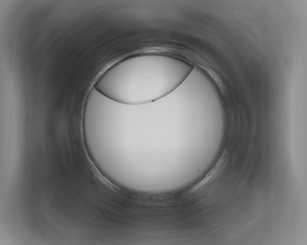 X0000112491417200908170942