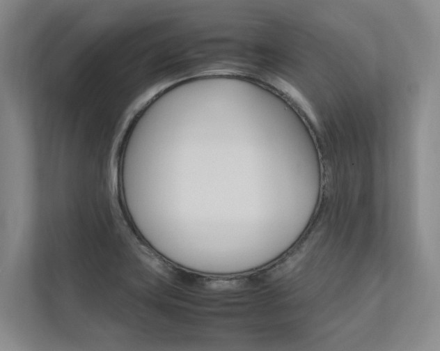 X0000112491419200908170942