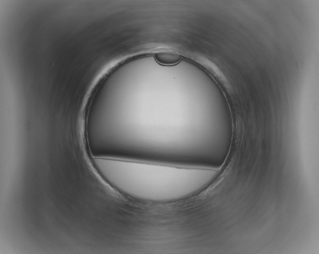 X0000112491424200908170942