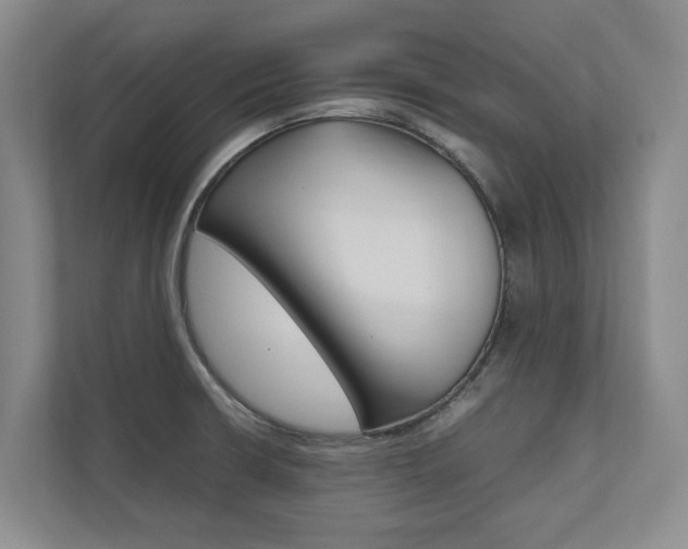 X0000112491426200908170942