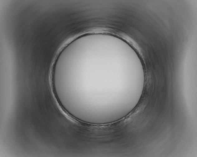 X0000112491429200908170942