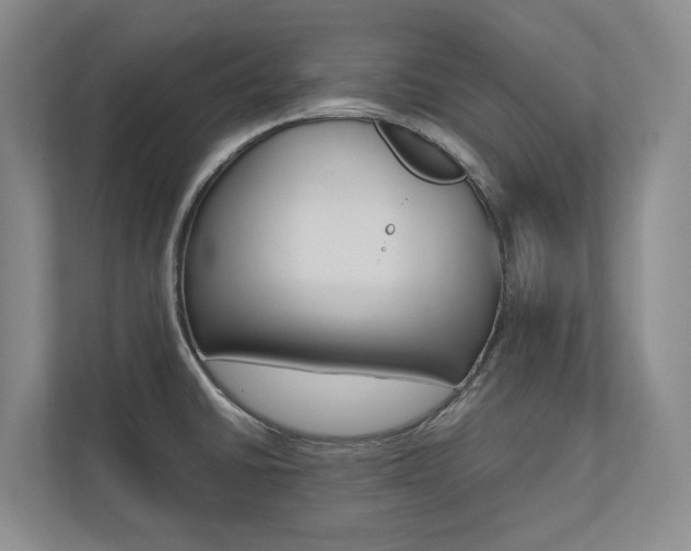X0000112491430200908170942