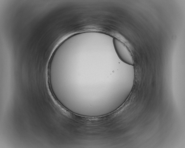 X0000112491431200908170942