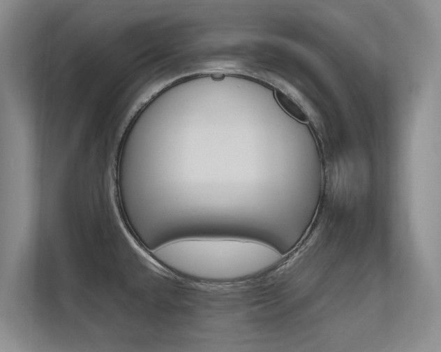 X0000112491432200908170942