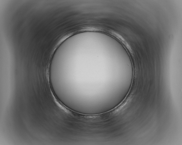 X0000112491433200908170942