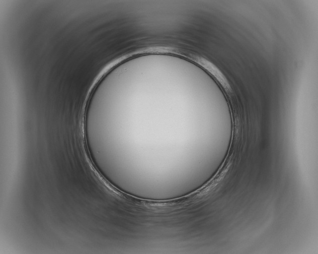 X0000112491436200908170942