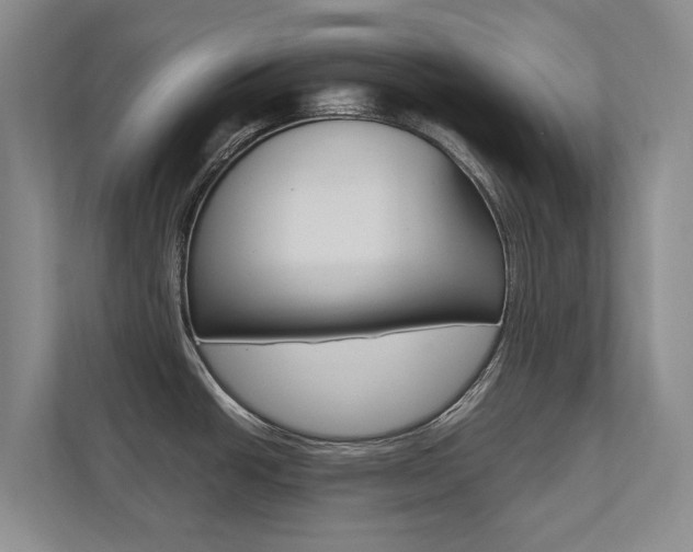 X0000112491438200908170942