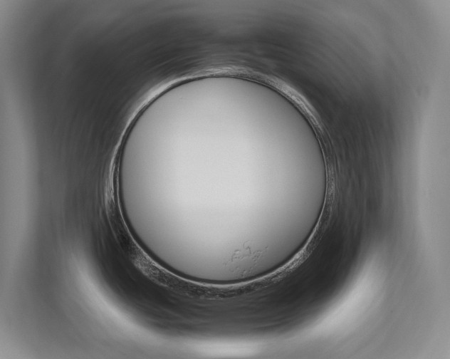 X0000112491439200908170942