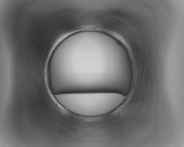X0000112491440200908170942
