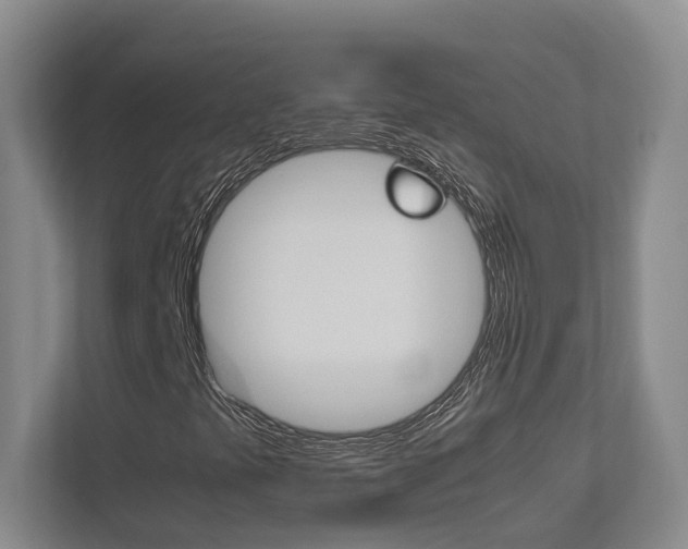 X0000112491441200908170942