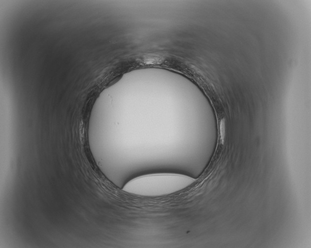 X0000112491443200908170941