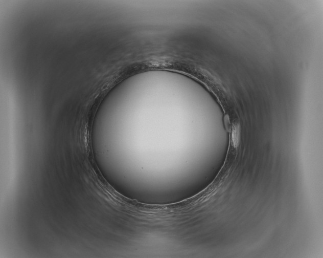 X0000112491444200908170941