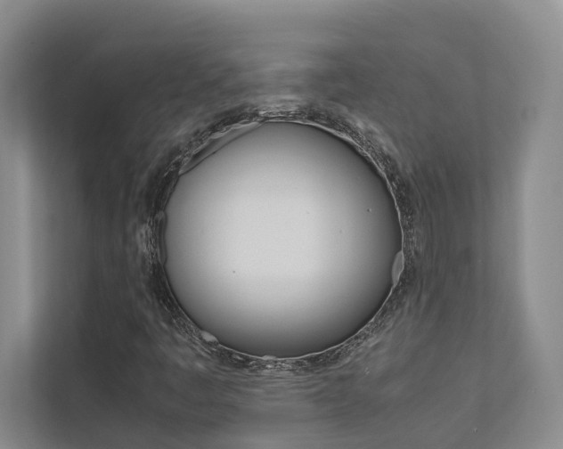 X0000112491445200908170941