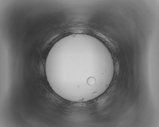 X0000112491446200908170941