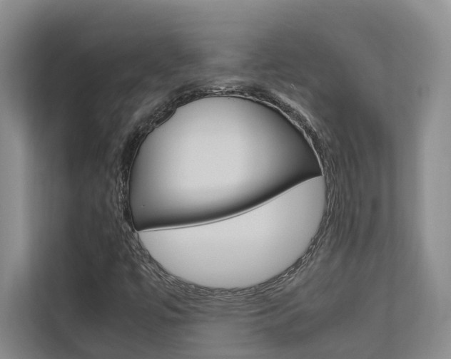 X0000112491447200908170941