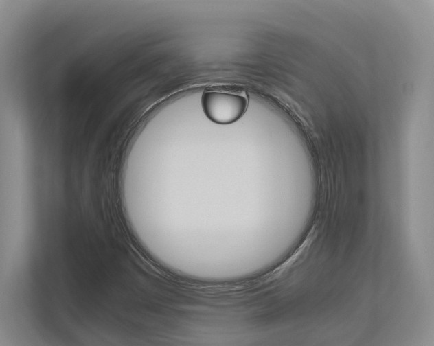 X0000112491449200908170941