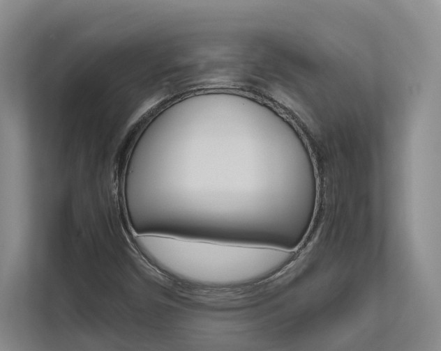 X0000112491450200908170941