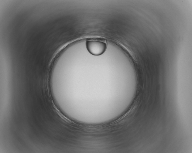 X0000112491452200908170941