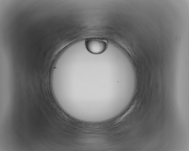 X0000112491453200908170941