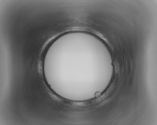 X0000112491454200908170941