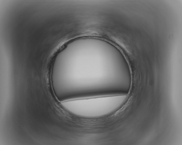 X0000112491455200908170941